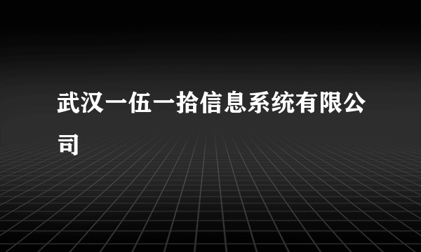 武汉一伍一拾信息系统有限公司