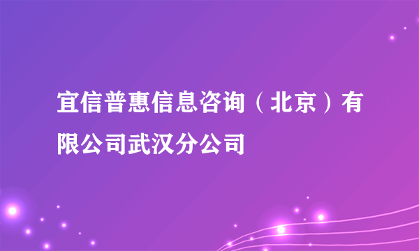 宜信普惠信息咨询（北京）有限公司武汉分公司