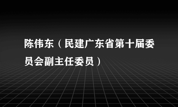 陈伟东（民建广东省第十届委员会副主任委员）