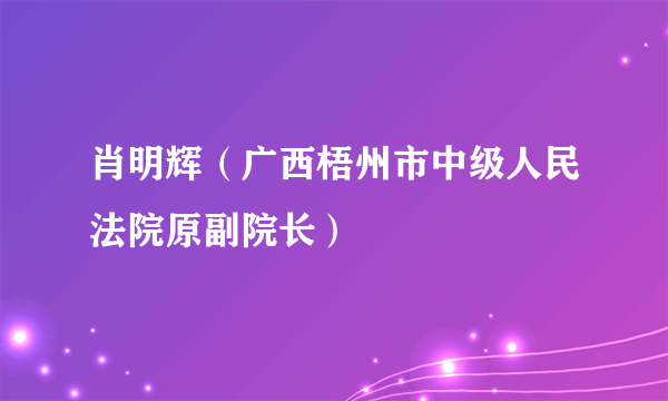 肖明辉（广西梧州市中级人民法院原副院长）