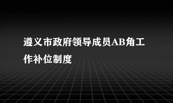 遵义市政府领导成员AB角工作补位制度