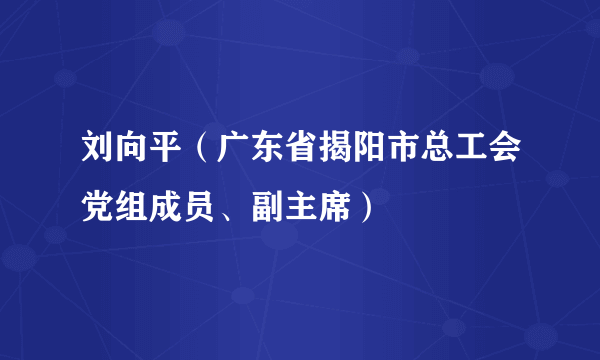 刘向平（广东省揭阳市总工会党组成员、副主席）