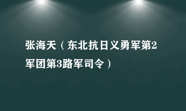 张海天（东北抗日义勇军第2军团第3路军司令）
