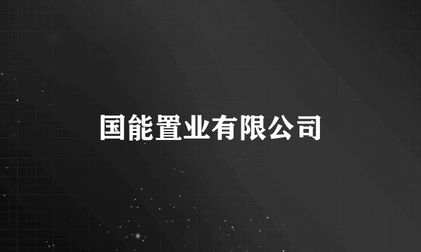 国能置业有限公司