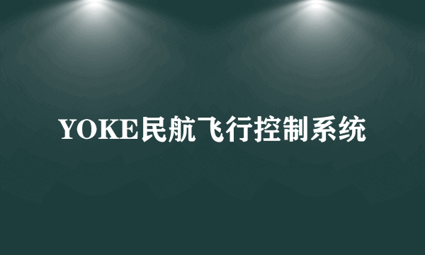 YOKE民航飞行控制系统