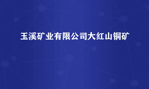 玉溪矿业有限公司大红山铜矿