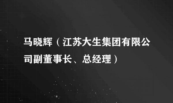 马晓辉（江苏大生集团有限公司副董事长、总经理）