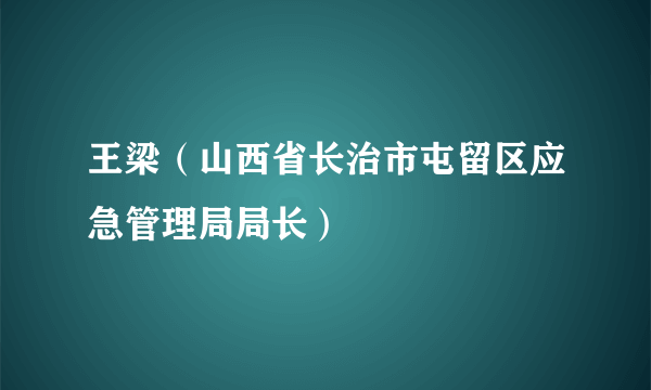 王梁（山西省长治市屯留区应急管理局局长）