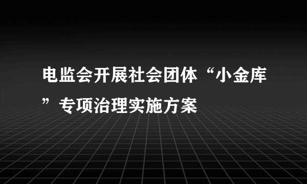 电监会开展社会团体“小金库”专项治理实施方案