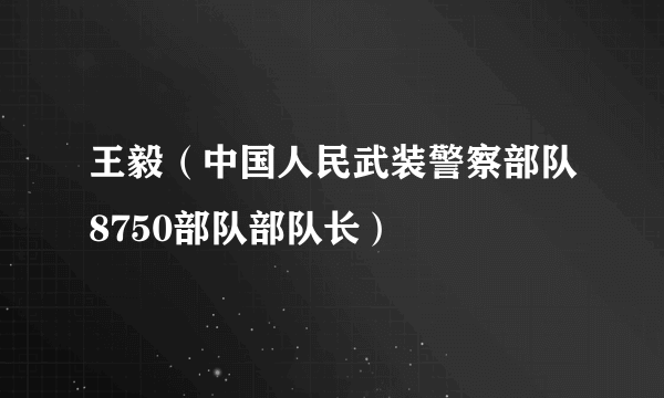 王毅（中国人民武装警察部队8750部队部队长）