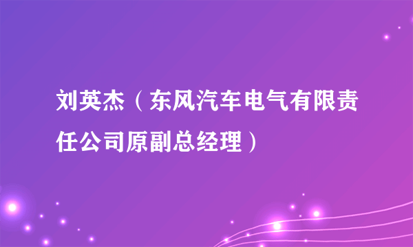 刘英杰（东风汽车电气有限责任公司原副总经理）