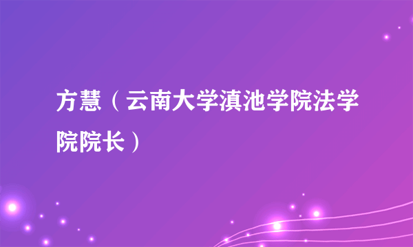 方慧（云南大学滇池学院法学院院长）