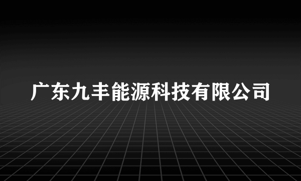 广东九丰能源科技有限公司