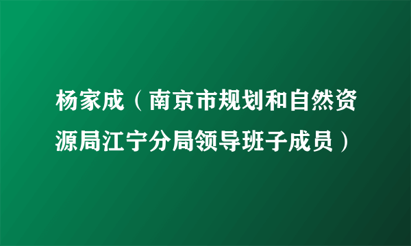 杨家成（南京市规划和自然资源局江宁分局领导班子成员）