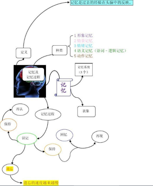 记忆分类