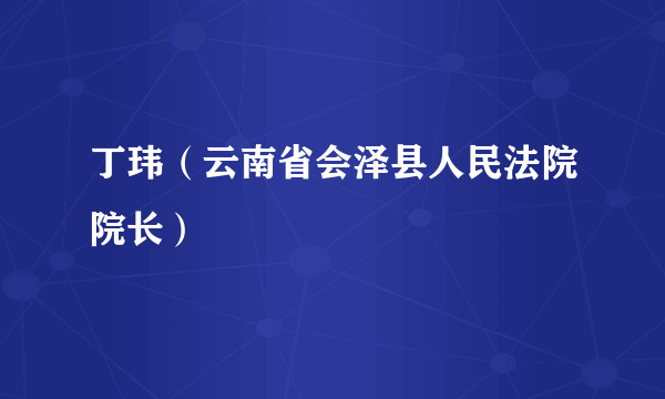 丁玮（云南省会泽县人民法院院长）