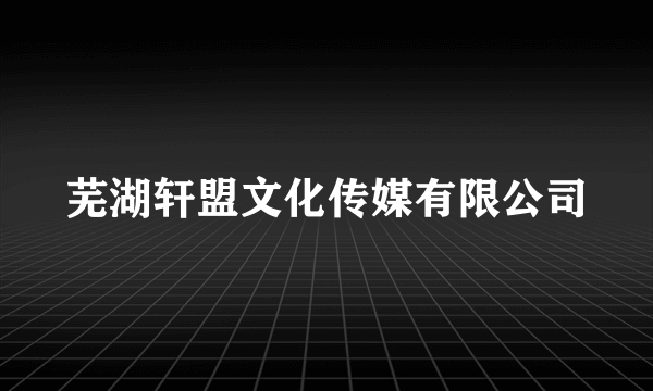 芜湖轩盟文化传媒有限公司