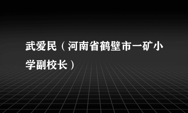 武爱民（河南省鹤壁市一矿小学副校长）