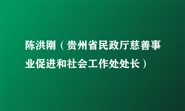 陈洪刚（贵州省民政厅慈善事业促进和社会工作处处长）