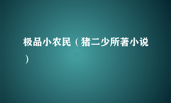 极品小农民（猪二少所著小说）