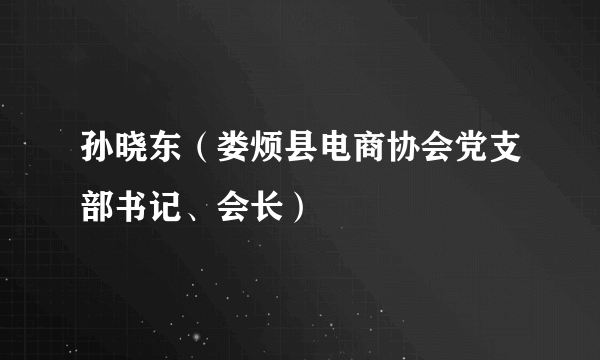 孙晓东（娄烦县电商协会党支部书记、会长）