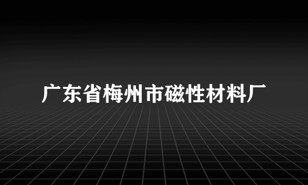 广东省梅州市磁性材料厂