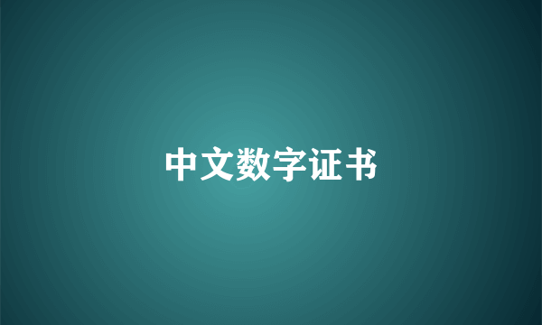 中文数字证书