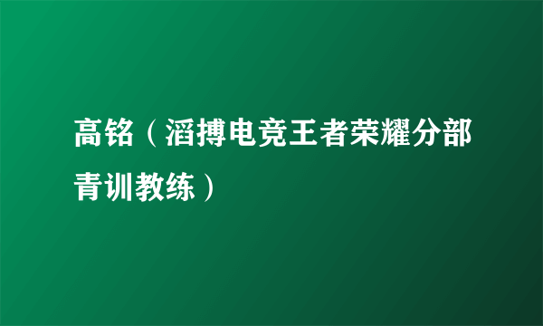 高铭（滔搏电竞王者荣耀分部青训教练）