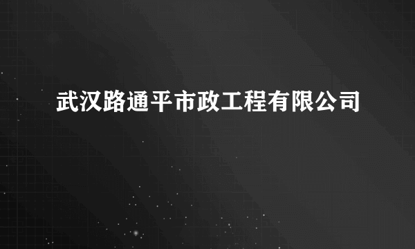 武汉路通平市政工程有限公司