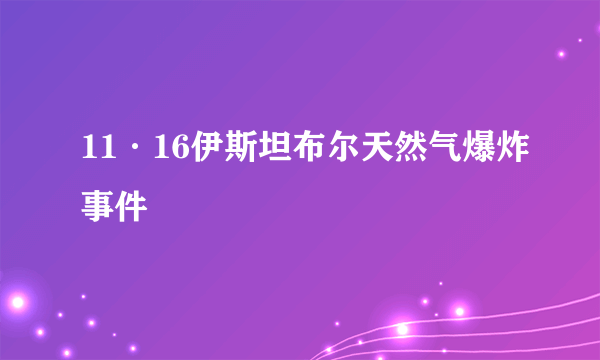 11·16伊斯坦布尔天然气爆炸事件