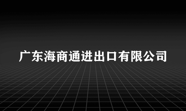 广东海商通进出口有限公司