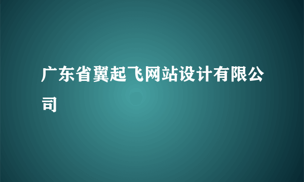 广东省翼起飞网站设计有限公司