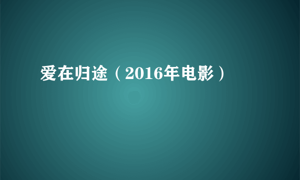 爱在归途（2016年电影）