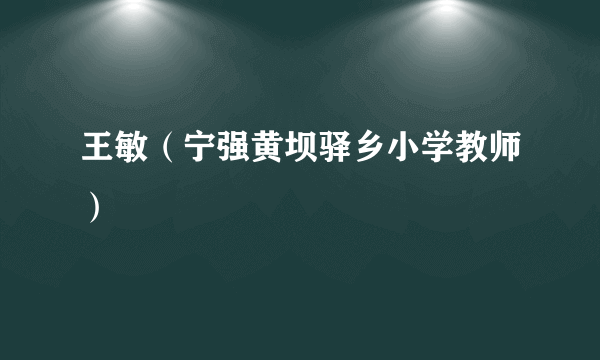 王敏（宁强黄坝驿乡小学教师）