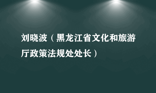 刘晓波（黑龙江省文化和旅游厅政策法规处处长）