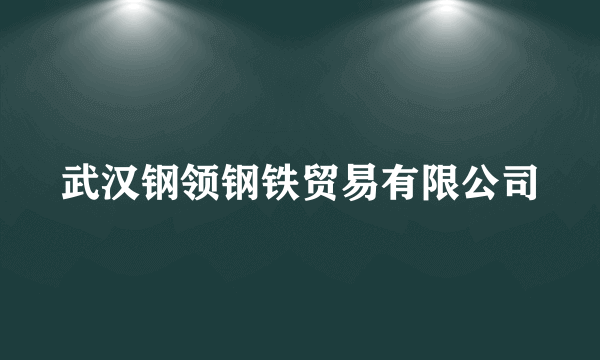 武汉钢领钢铁贸易有限公司