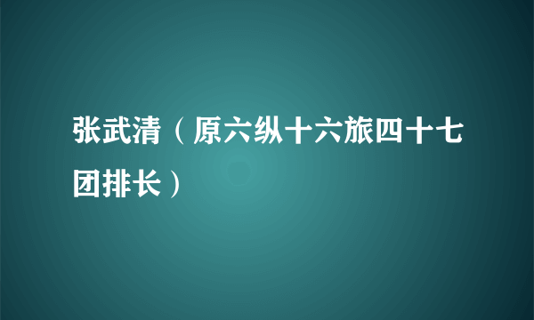 张武清（原六纵十六旅四十七团排长）