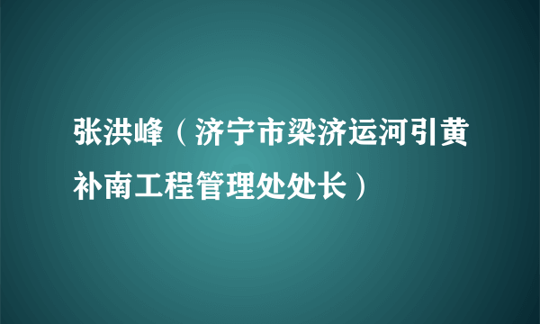 张洪峰（济宁市梁济运河引黄补南工程管理处处长）