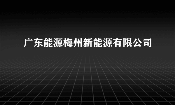 广东能源梅州新能源有限公司