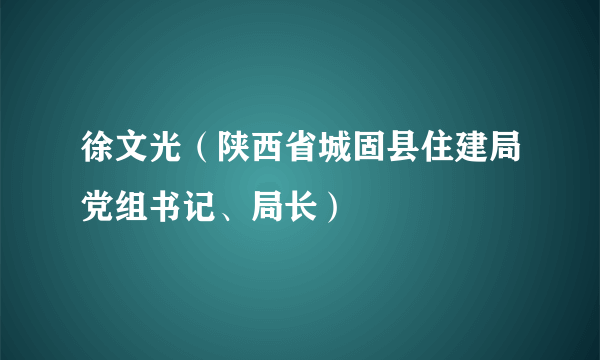 徐文光（陕西省城固县住建局党组书记、局长）