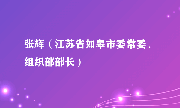 张辉（江苏省如皋市委常委、组织部部长）