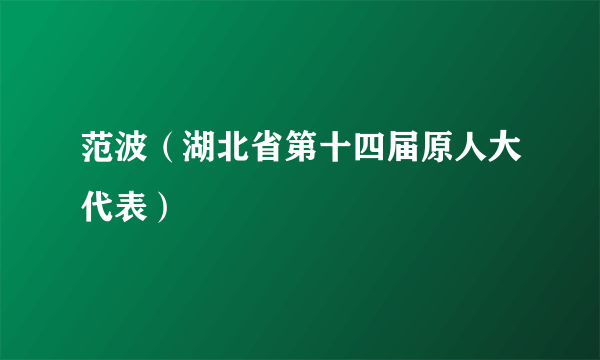 范波（湖北省第十四届原人大代表）