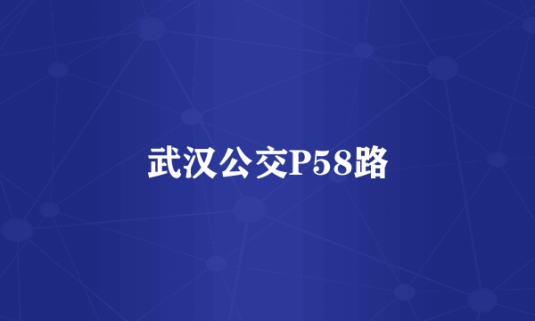 武汉公交P58路