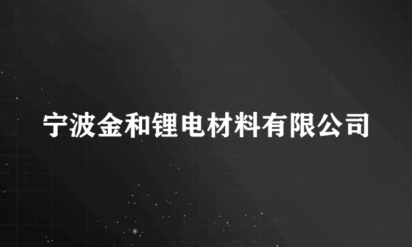 宁波金和锂电材料有限公司