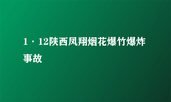 1·12陕西凤翔烟花爆竹爆炸事故