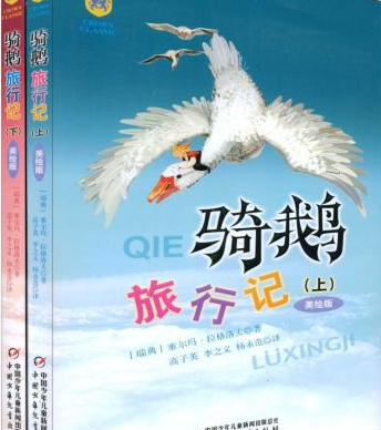 骑鹅旅行记（2009年中国少年儿童出版社出版的图书）