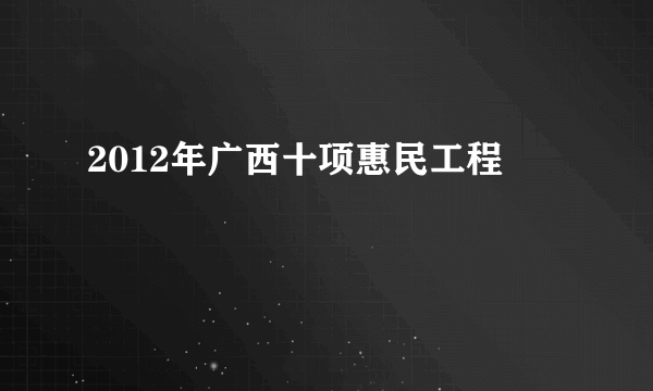 2012年广西十项惠民工程