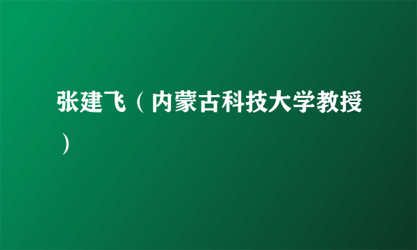 张建飞（内蒙古科技大学教授）