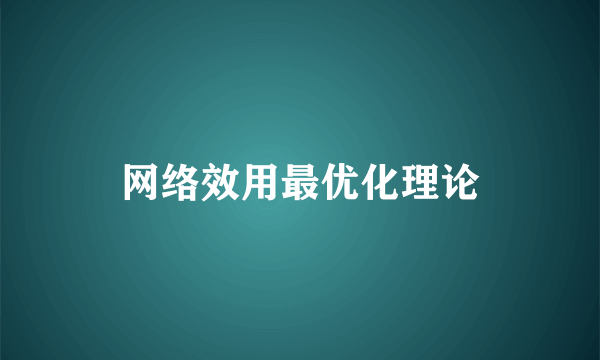 网络效用最优化理论