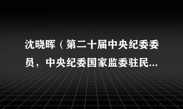 沈晓晖（第二十届中央纪委委员，中央纪委国家监委驻民政部纪检监察组组长，民政部党组成员）